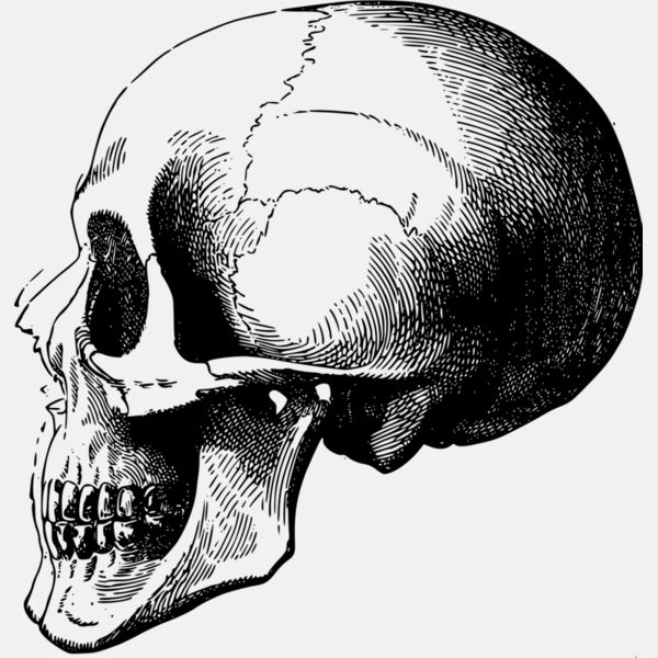 Skull 5 Thumbnail
