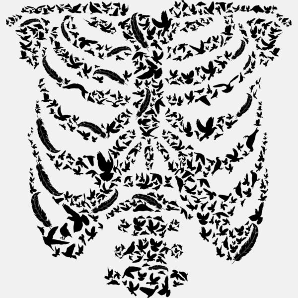 Ribcage Bird Thumbnail