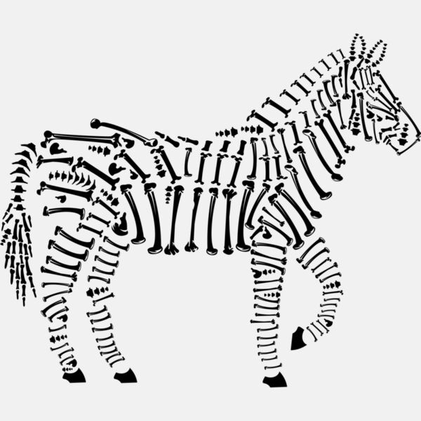 Zebra Bones Thumbnail