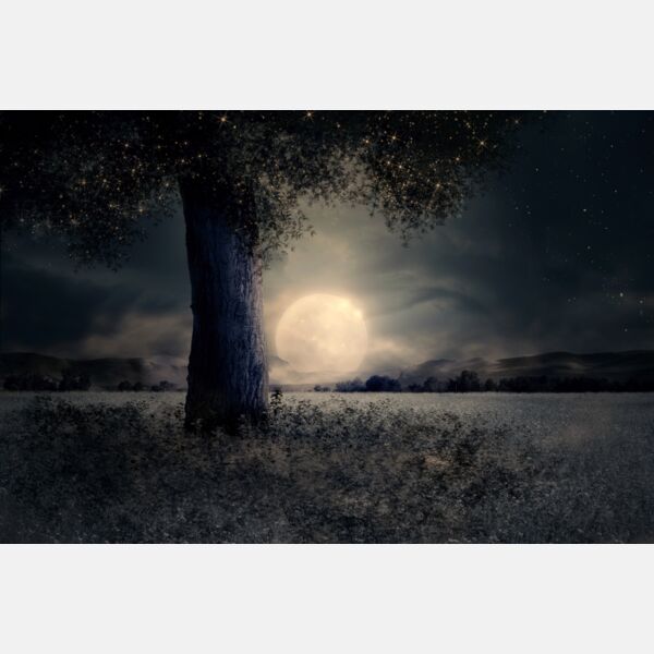 Night Landscape Thumbnail
