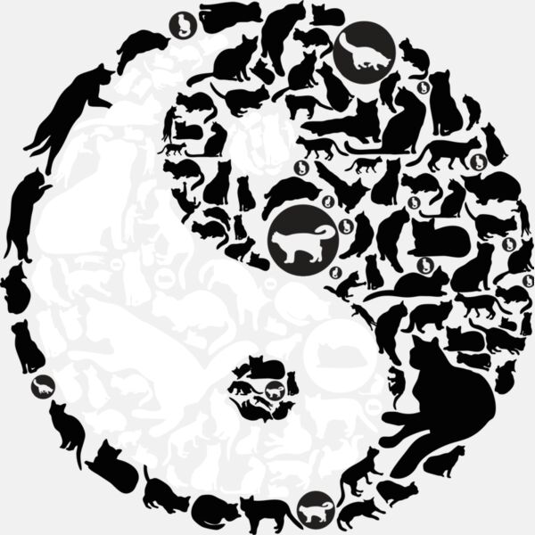 YinYang Cats Thumbnail