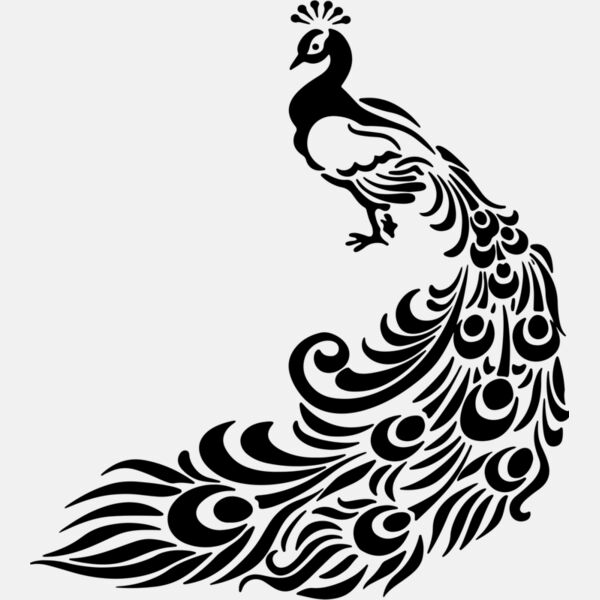 Peacock Lineart Thumbnail
