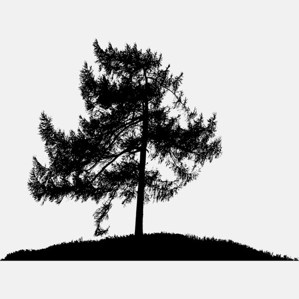 Lonely Tree Silhouette Thumbnail