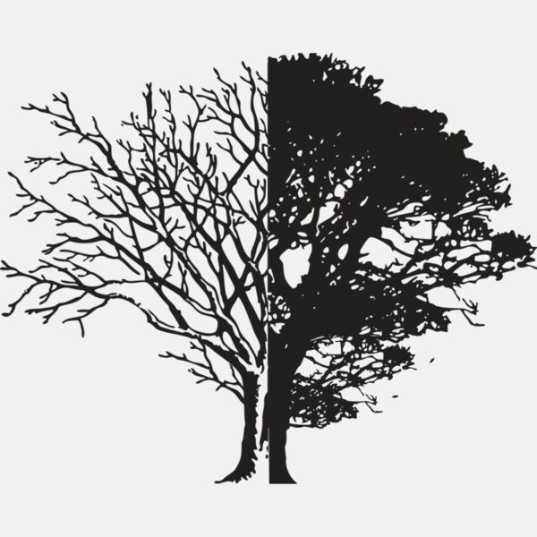 Life And Death Thumbnail