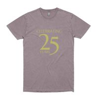 Mens Stone Wash Staple Tee Thumbnail