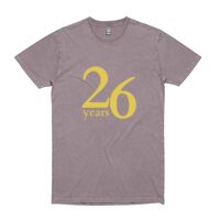 Mens Stone Wash Staple Tee Thumbnail