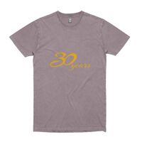 Mens Stone Wash Staple Tee Thumbnail