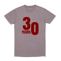 Mens Stone Wash Staple Tee Thumbnail